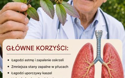 Euphorbia Hirta wywołuje brutalne oczyszczanie płuc, którego większość ludzi nie zauważa