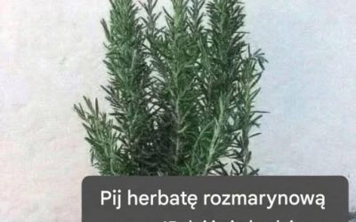 Nazywają ją naturalną morfiną, ponieważ łagodzi bóle mięśni, stawów i bóle reumatyczne. Aby nadal otrzymywać moje przepisy, wystarczy, że