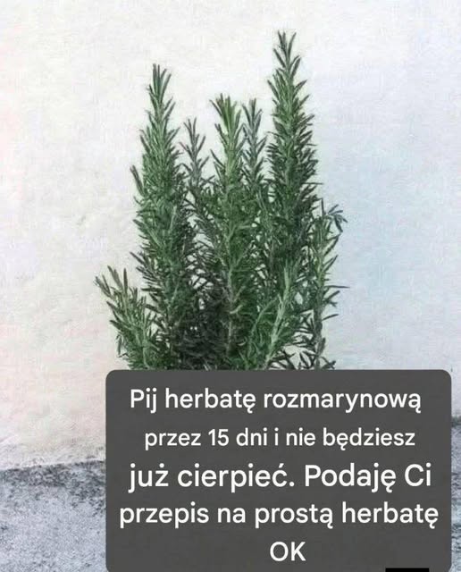 Nazywają ją naturalną morfiną, ponieważ łagodzi bóle mięśni, stawów i bóle reumatyczne. Aby nadal otrzymywać moje przepisy, wystarczy, że