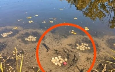Tajemniczy obiekt nad jeziorem doprowadził do nieoczekiwanego odkrycia
